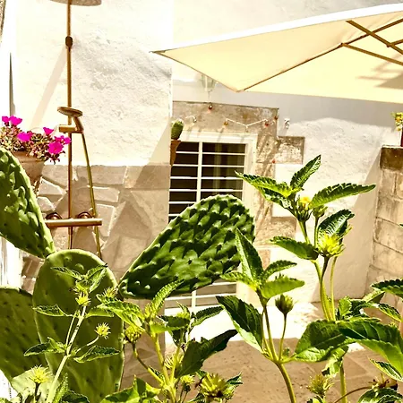 Casa Caruli